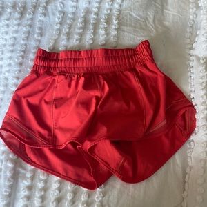 Red carnations hotty hots 2